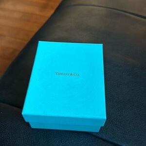 Authentic Tiffany & Co. Velvet earring case